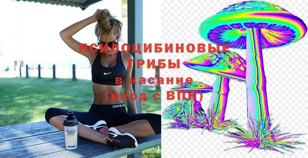 Альфа ПВП Армянск